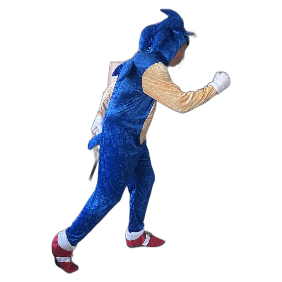 Sonic party entertainer