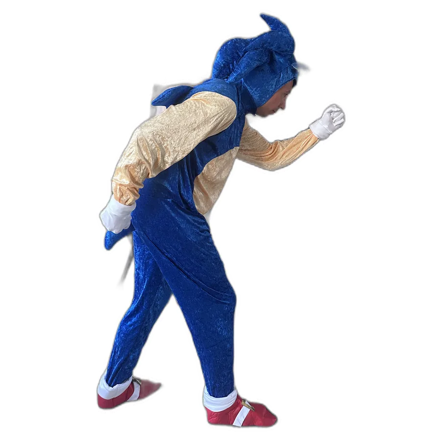 Sonic party entertainer